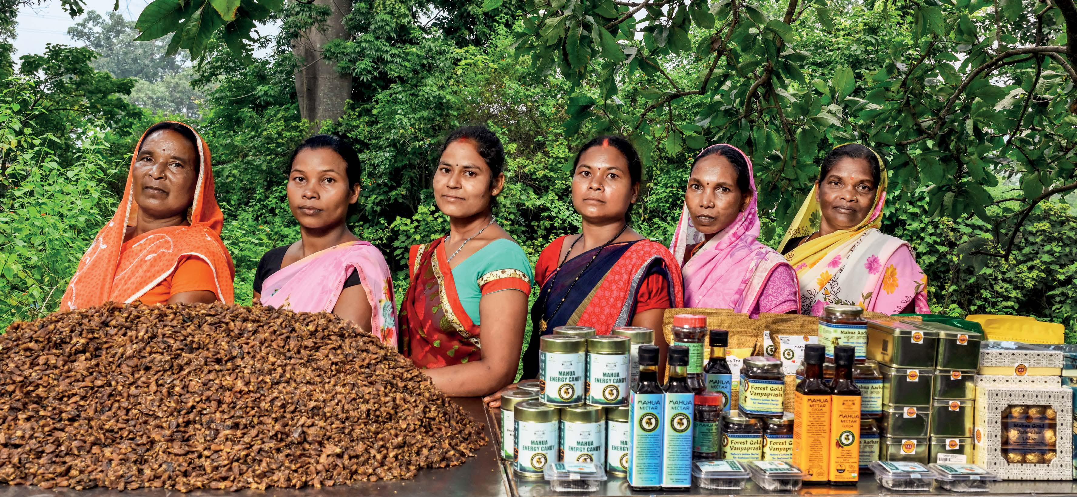 FORESTS TO FORTUNE